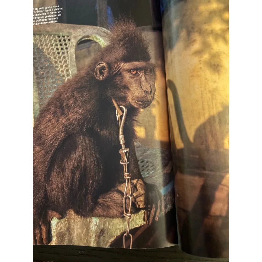 National Geographic national geographic